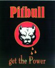 PITBULL GET THE POWER