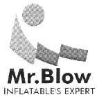 MR. BLOW INFLATABLE'S EXPERT