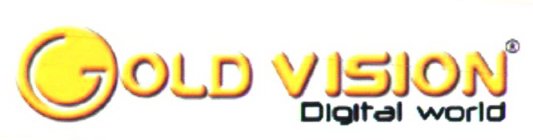 GOLD VISION DIGITAL WORLD