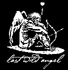 LAST WILD ANGEL