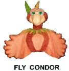 FLY CONDOR