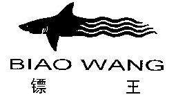 BIAO WANG