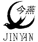 JIN YAN