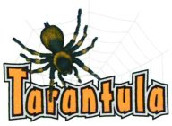 TARANTULA