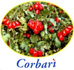 CORBARÌ