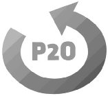 P20