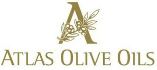 ATLAS OLIVE OILS