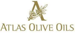 ATLAS OLIVE OILS