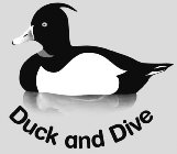 DUCK AND DIVE