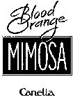 BLOOD ORANGE MIMOSA CANELLA