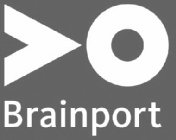 O BRAINPORT