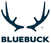 BLUEBUCK