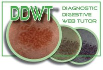 DDWT DIAGNOSTIC DIGESTIVE WEB TUTOR