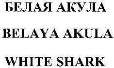 BELAYA AKULA WHITE SHARK