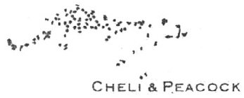 CHELI & PEACOCK