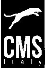 CMS ITALY