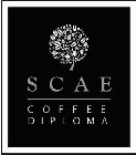 SCAE COFFEE DIPLOMA