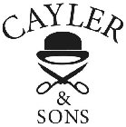 CAYLER & SONS