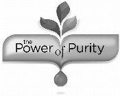THE POWER OF PURITY