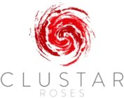 CLUSTAR ROSES