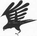 HAYABUSA WIRE