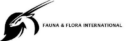 FAUNA & FLORA INTERNATIONAL