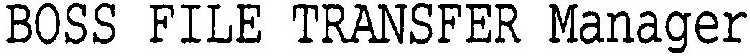 BOSS FILE TRANSFER MANAGER