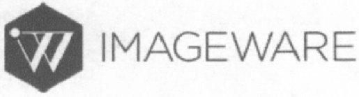 IW IMAGEWARE