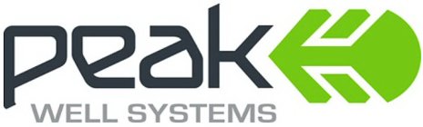 PEAK WELL SYSTEMS