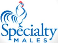 SPECIALTY MALES