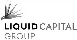 LIQUID CAPITAL GROUP