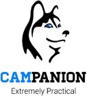CAMPANION EXTREMELY PRACTICAL