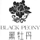 BLACK PEONY