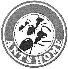 ANTS HOME