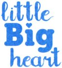 LITTLE BIG HEART