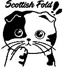 SCOTTISH FOLD!!