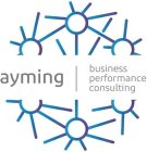 AYMING BUSINESS PERFORMANCE CONSULTING