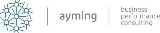 AYMING BUSINESS PERFORMANCE CONSULTING