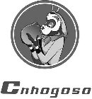 CNHOGOSO