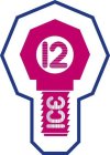 ICE 12