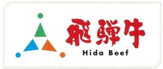 HIDA BEEF