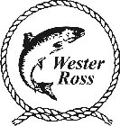 WESTER ROSS