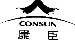 CONSUN