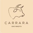 CARRARA 640 WAGYU