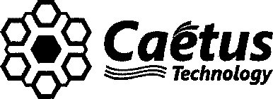 CAETUS TECHNOLOGY