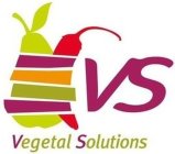 VS VEGETAL SOLUTIONS