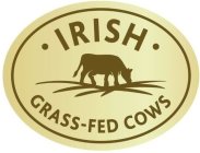 IRISH GRASS-FED COWS