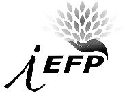 IEFP