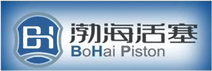 BH BOHAI PISTON