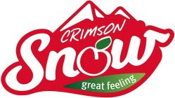 CRIMSON SNOW GREAT FEELING
